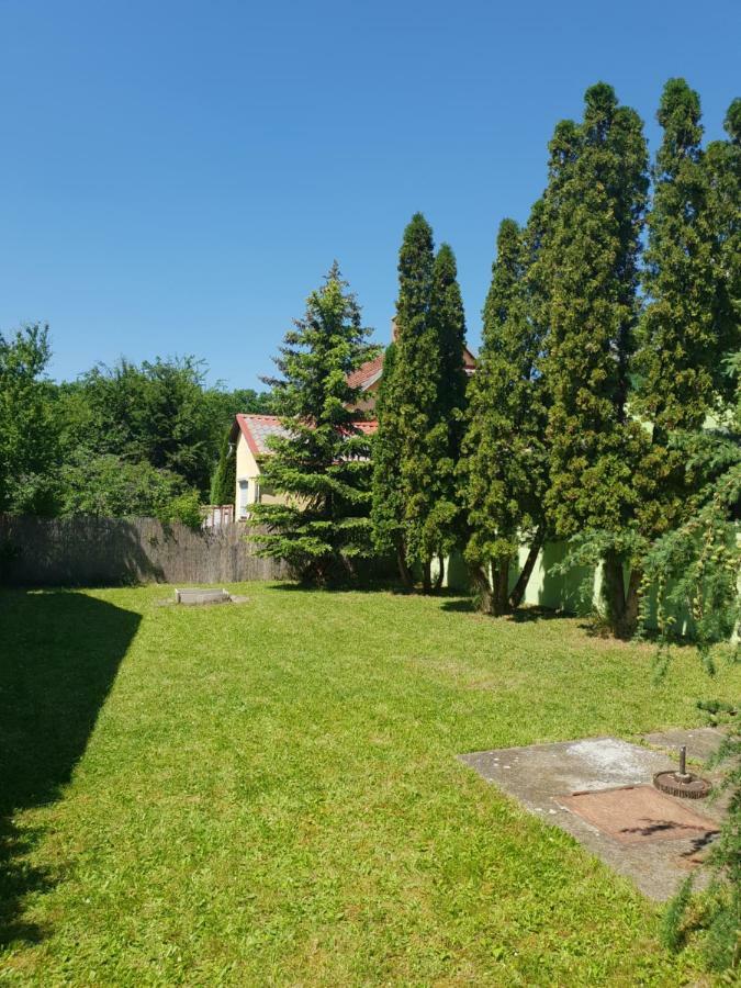 Zseki Apartman Villa Hajduszoboszlo Exterior photo